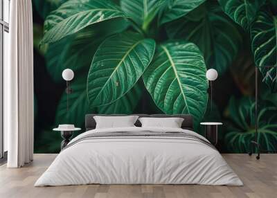 Green tropical plant close-up Wall mural