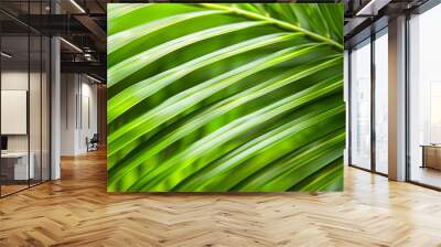 Green tropical plant close-up Wall mural