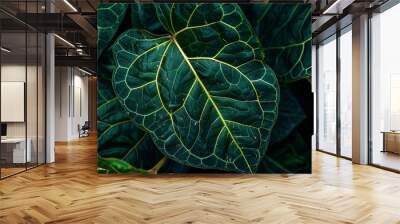 Green tropical plant close-up Wall mural