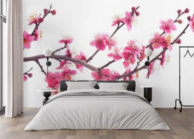 A white background with a pink tree branch with pink flowers Wall mural