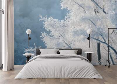 Cold winter day with stunning hoarfrost and rime on trees, featuring frost-covered branches and a serene snowy landscape, capturing the beauty of a frozen forest under a clear sky for a tranquil winte Wall mural