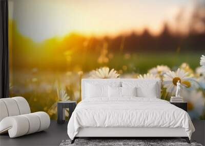 glowing sunset over blooming white daisies in meadow - nature's golden hour landscape Wall mural