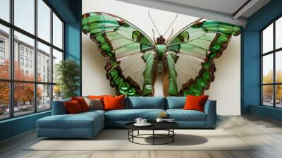 Vibrant malachite butterfly siproeta stelenes resting on leaf with open wings, showcasing striking green and black patterns, ideal for nature-themed wallpaper or educational resources on insects and b Wall mural