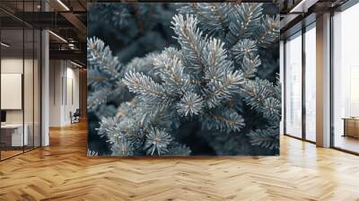 Winter - frost-covered pine branches in a snowy forest, showcasing the natural beauty of winter with rime on evergreen needles, creating a serene and festive christmas atmosphere in a tranquil nature  Wall mural