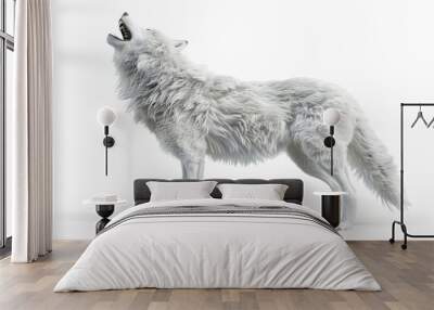 Wolfenigmatic white dire wolf howling in captivating 3d illustration, isolated on white background - majestic wildlife concept Wall mural