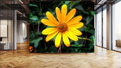 yellow flower in the garden Wall mural