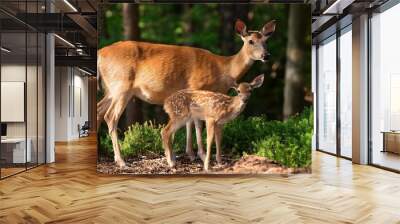 a deer and a fawn are next to each other in the forest Wall mural