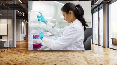 Closeup portrait, scientist pipetting from 50 mL conical tube with blue liquid solution, performing laboratory experiments, isolated lab . Forensics, genetics, microbiology, biochemistry Wall mural