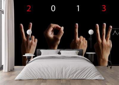 The number 2013 shown by fingers in creative New Year greeting c Wall mural