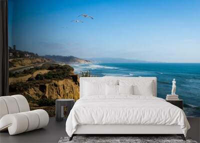 Mid day landscape photo of seagulls flying in the air on the coast by the Pacific ocean in San Diego California Wall mural