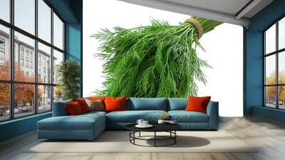 Fresh green dill with feathery leaves. Wall mural