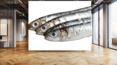 Fresh sardines with shiny scales, isolated on white background. PNG transparent. Wall mural