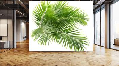 Green palm leaves detailed and isolated Wall mural