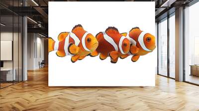 Group of colorful clownfish swimming on a white background. PNG transparent. Wall mural