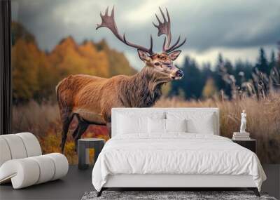 Elevated shot of a wild deer with grand antlers calmly pasturing in a vibrant meadow amidst the woods, set against a backdrop of overcast clouds. Wall mural