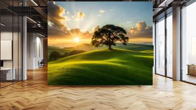 sunrise with great enthusiasm over the green valley Wall mural