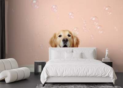 Cute golden retriever dog in a small bathtub with soap foam and bubbles, cute pastel colors. Wall mural