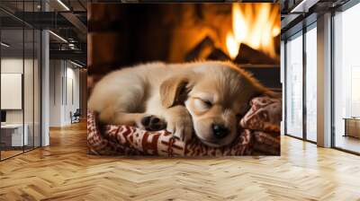 Cute Labrador puppy sleeping in front of the Christmas fireplace. A little golden retriever. Wall mural