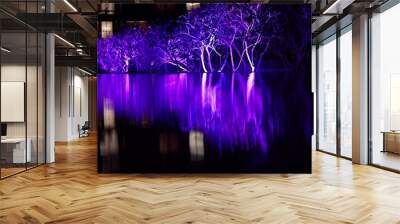 night illumination of the pool, thousands of blue light bulbs on trees, night sky with reflection in Wall mural