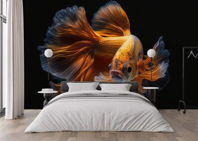 8k, realistic photo, high detailed, macro view, beautiful betta fish underwater photography isolated on black background. Generative ai Wall mural