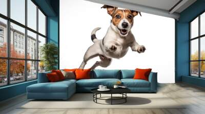 jack russel terrier in motion isolated white background Wall mural