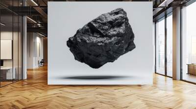 Raw Rare stone floating black rock meteorite material isolated on white background Wall mural