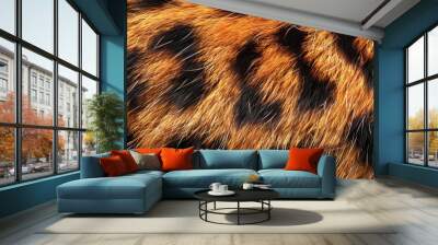 wild tiger leopard cheetah animal fur texture pattern skin background Wall mural