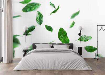 Green leaves flying in the wind, isolated on a transparent background Wall mural