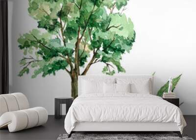 Ash tree isolated on white, Pritable wall art Wall mural