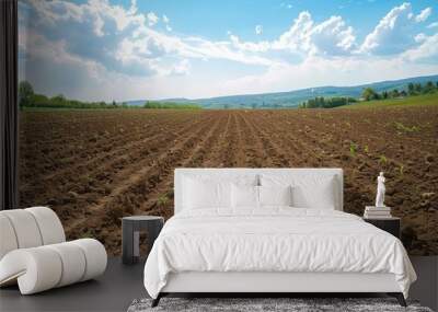 A field of dirt with a few trees in the background. The sky is blue and there are clouds Wall mural