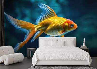 A gold and blue fish swimming in a tank Wall mural