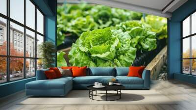 A row of green lettuce plants are growing in a greenhouse. The plants are in black containers and are arranged in a neat row. Concept of order and organization, as well as the potential for growth Wall mural