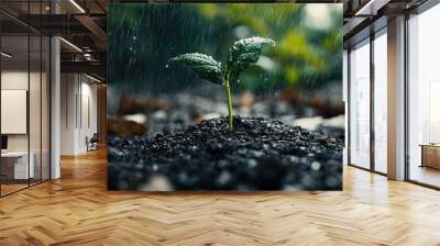 A small plant sprouts in the rain. It's a symbol of life and growth, showcasing nature's resilience in the face of adversity. Wall mural