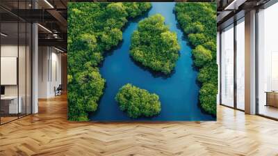 Aerial view of a mangrove forest. Perfect for environmental or nature articles. Wall mural