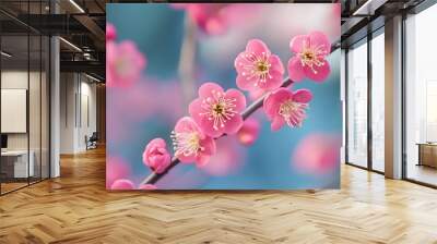 Close up of delicate pink cherry blossoms blooming on a branch with a blurred blue background. Wall mural