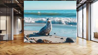 Cute seal pup sitting on a sandy beach with ocean waves in the background. Seal watching, wildlife photography, coastal nature. Wall mural