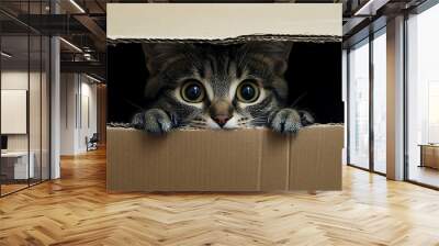 Cute tabby cat peeking from cardboard box with big eyes Wall mural