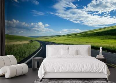 Empty asphalt road through green fields with blue sky and white clouds. Concept of travel, journey, freedom, and adventure. Wall mural