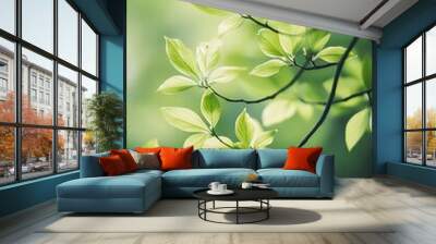 Green leaves on a branch with soft light shining through, spring nature background. Wall mural