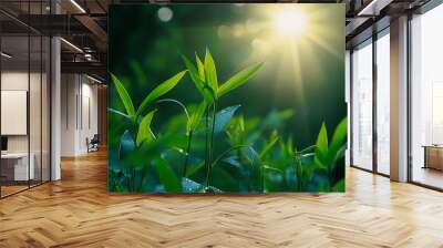 Green Leaves Sunlight Background, Nature Growth, Fresh Spring Plants Wall mural