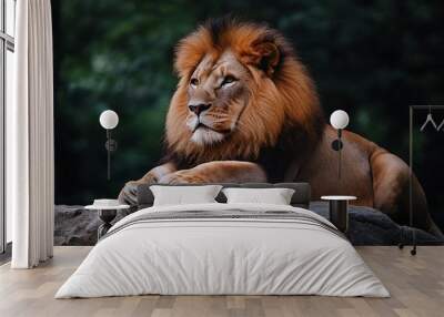 Majestic Male Lion Resting on Rock in Lush Green Forest Wall mural