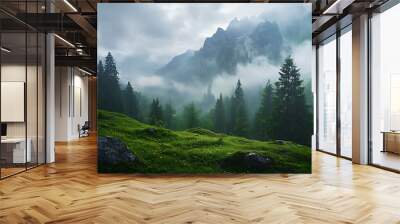 Misty mountain landscape with green meadow, forest, and dramatic peak in the background.  Nature, travel, and scenic beauty photography. Wall mural