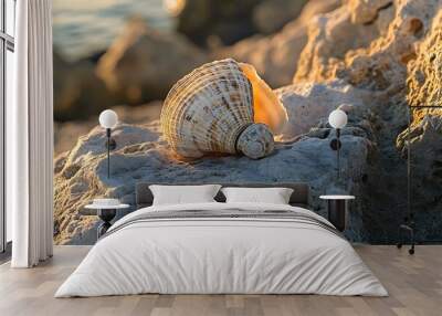 Seashell on rock at sunset with soft warm light Wall mural