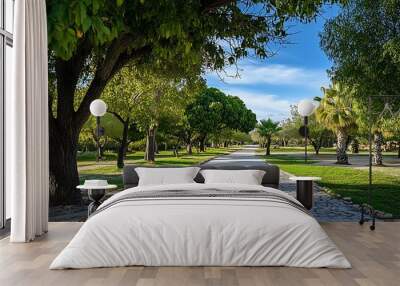 Stone pathway through lush park with tall trees, blue sky and white clouds. Wall mural