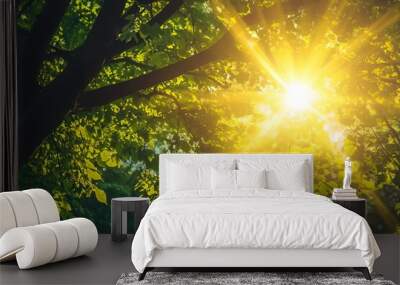 Sun shining through green leaves of tree branches, nature background, hope and life Wall mural