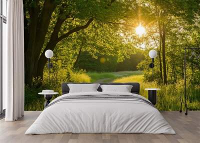 Sun shining through trees on a dirt path in a green meadow, nature background Wall mural