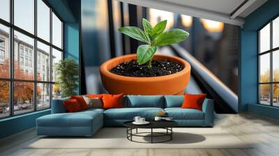 Small green plant in terra cotta pot on balcony against city skyline at sunset. Wall mural