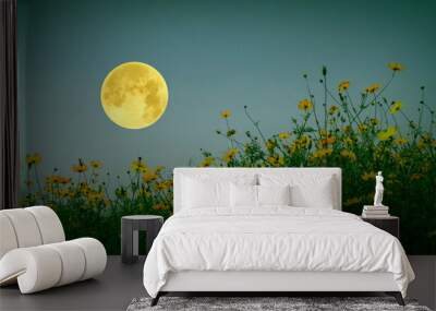 beautiful full moon with cosmos flowers Wall mural