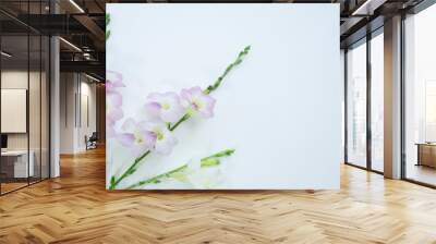 Sweet violet flowers of creeping foxglove Wall mural