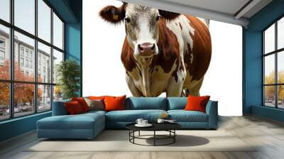 a white and brown cow bull cattle bovine with horns, isolated on a white background Wall mural